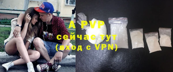 PSILOCYBIN Заволжье