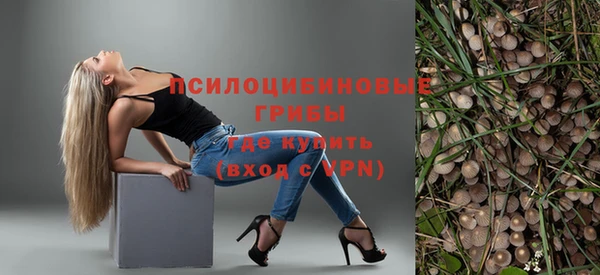 PSILOCYBIN Заволжье