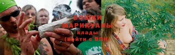 PSILOCYBIN Заволжье