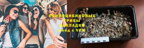 прущий лед Заводоуковск